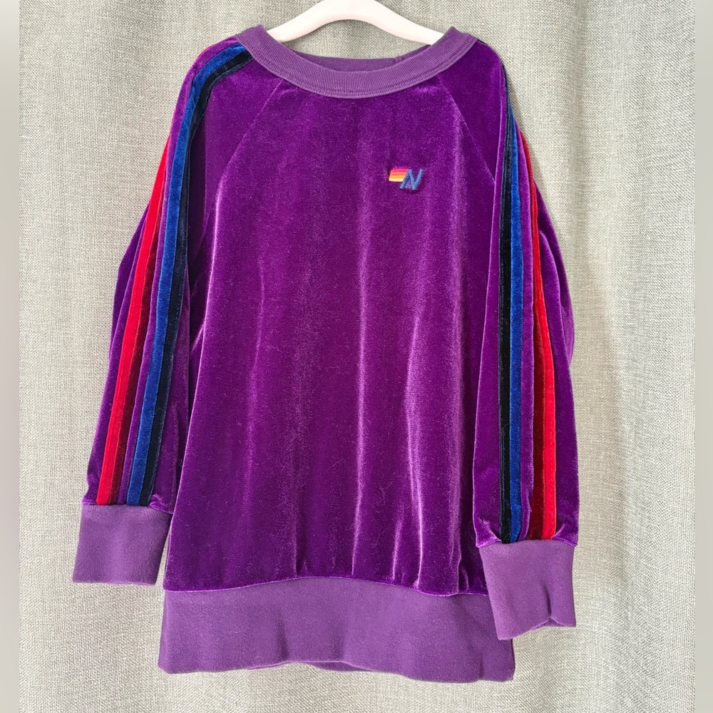 Aviator Nation Purple Classic Velvet Relaxed Sweatshirt size 8